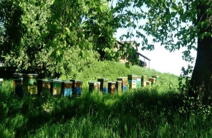 Do Sieci „Dziedzictwo Kulinarne Warmia Mazury Powiśle” dołączyły trzy nowe podmioty.